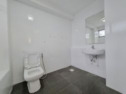 The Cairnhill (D9), Condominium #580753801